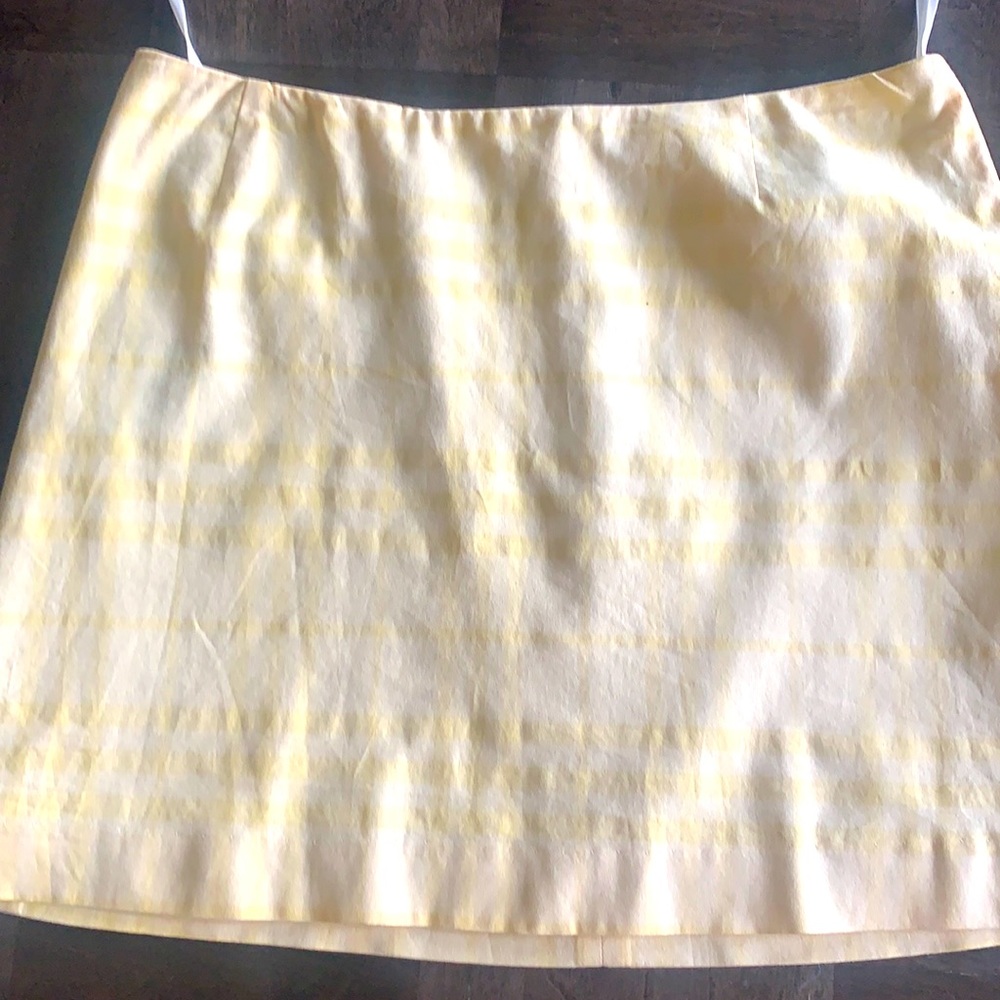 Burberry skirt